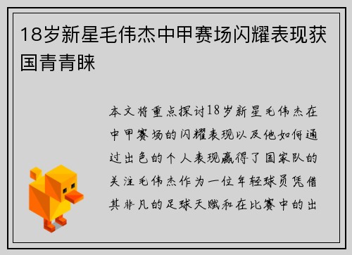 18岁新星毛伟杰中甲赛场闪耀表现获国青青睐