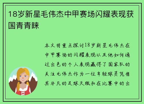 18岁新星毛伟杰中甲赛场闪耀表现获国青青睐
